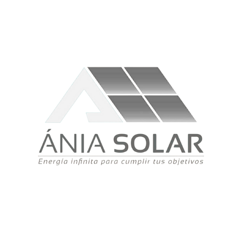 se un evaluador independiente (15)